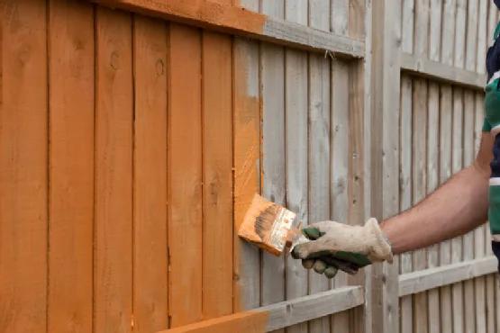 Fence Painting